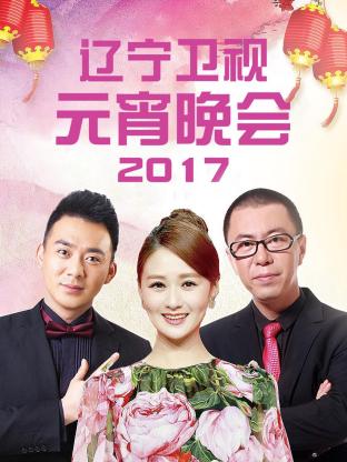 辽宁卫视元宵晚会2017(2017) - 中国