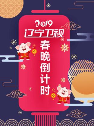 辽宁卫视春晚倒计时2019(2019) - 中国