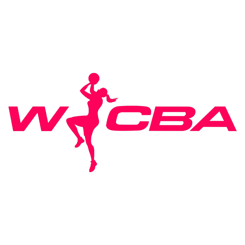 WCBA 16进8决赛江苏南钢女子篮球队VS北京首钢园20250228