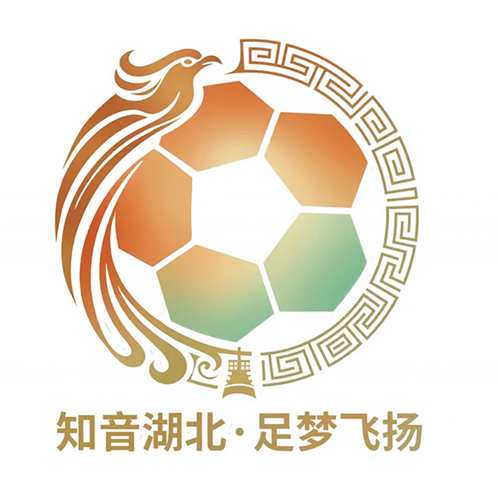 湖北省城市足球联赛 鄂州临空队VS仙桃黄鳝队20260502